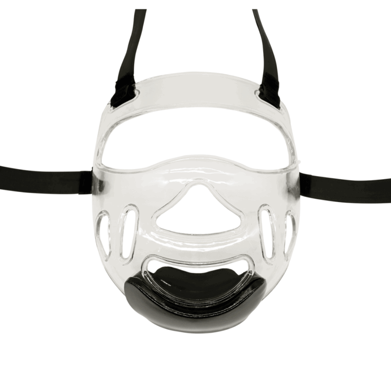 WT Taekwondo Visor Mask
