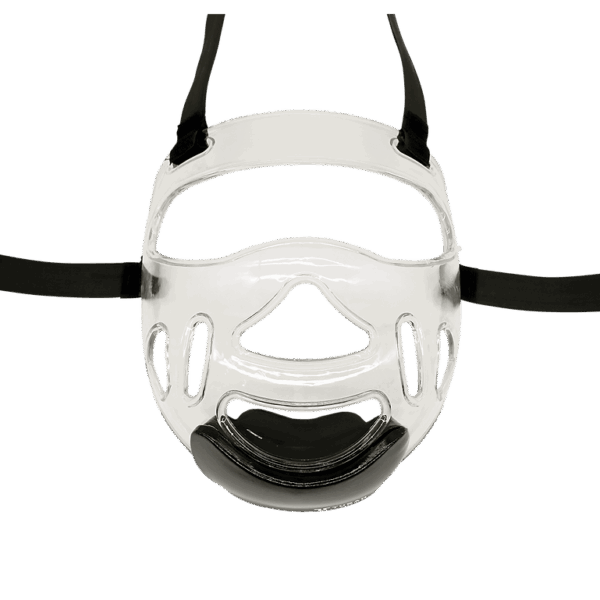 WT Taekwondo Visor Mask