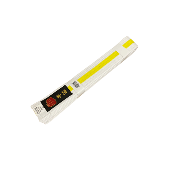 Striped Belts - Image 13