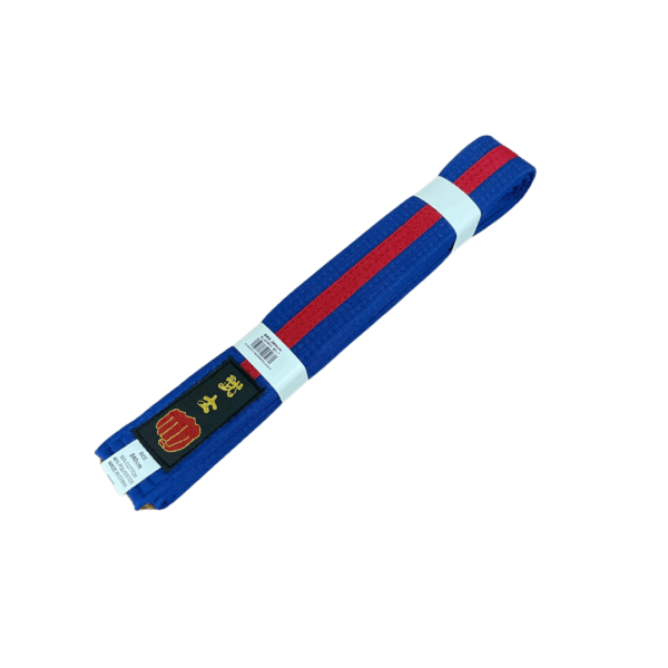 Striped Belts - Image 15