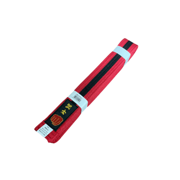 Striped Belts - Image 17