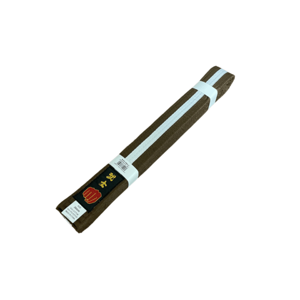 Striped Belts - Image 25