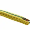Striped Belts - Image 22